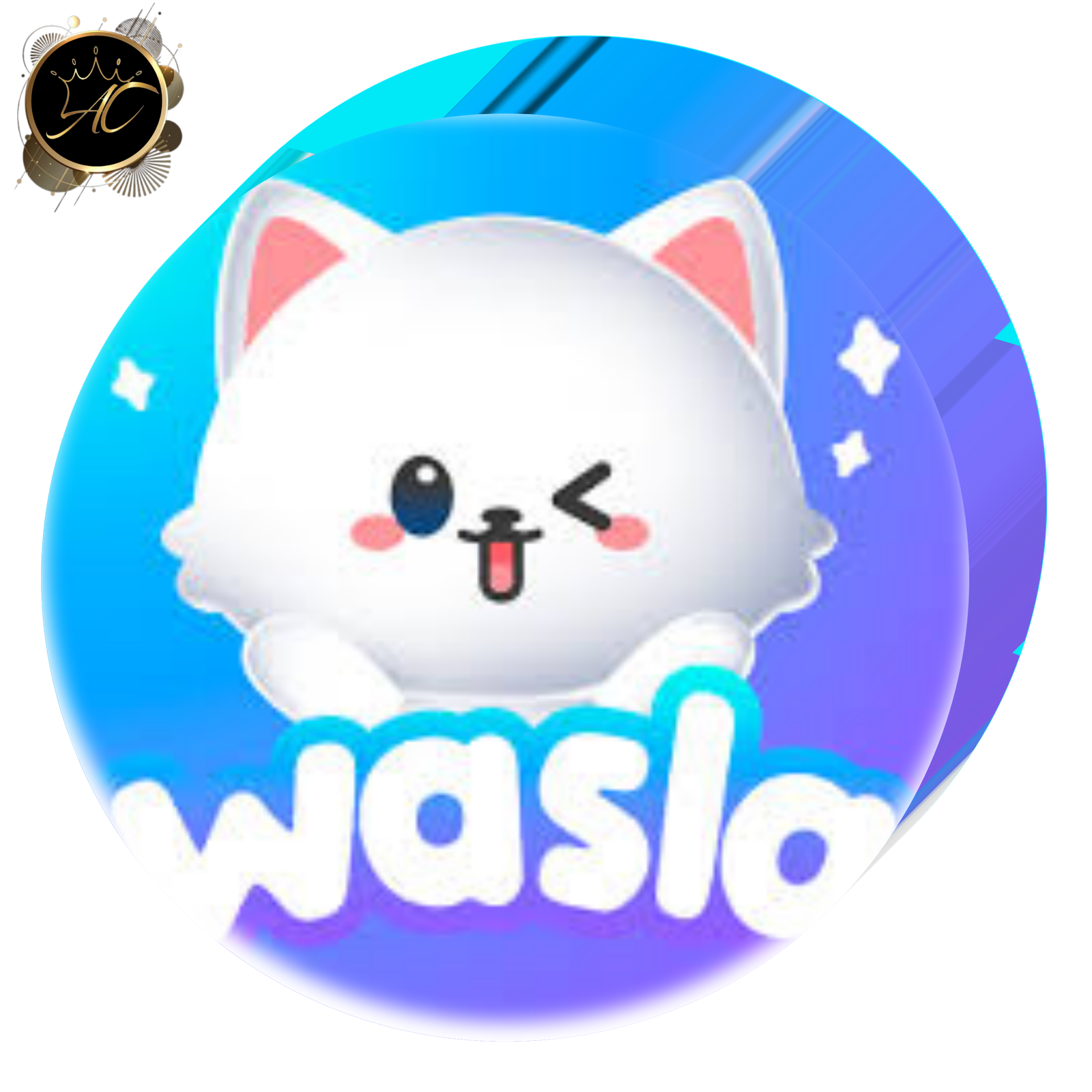 Wasla Chat